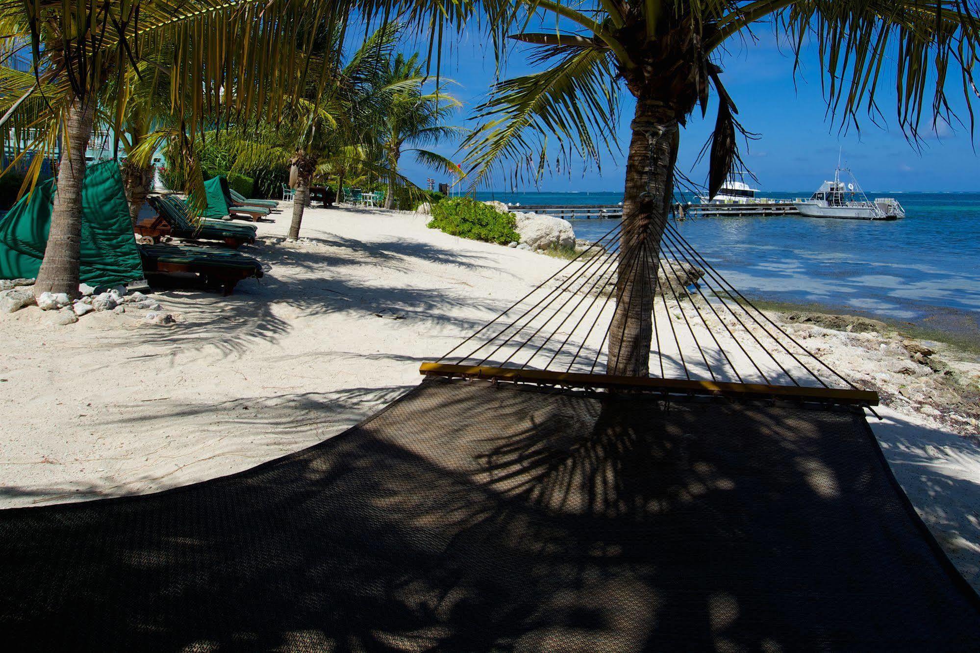 Compass Point Dive Resort Gun Bay Luaran gambar